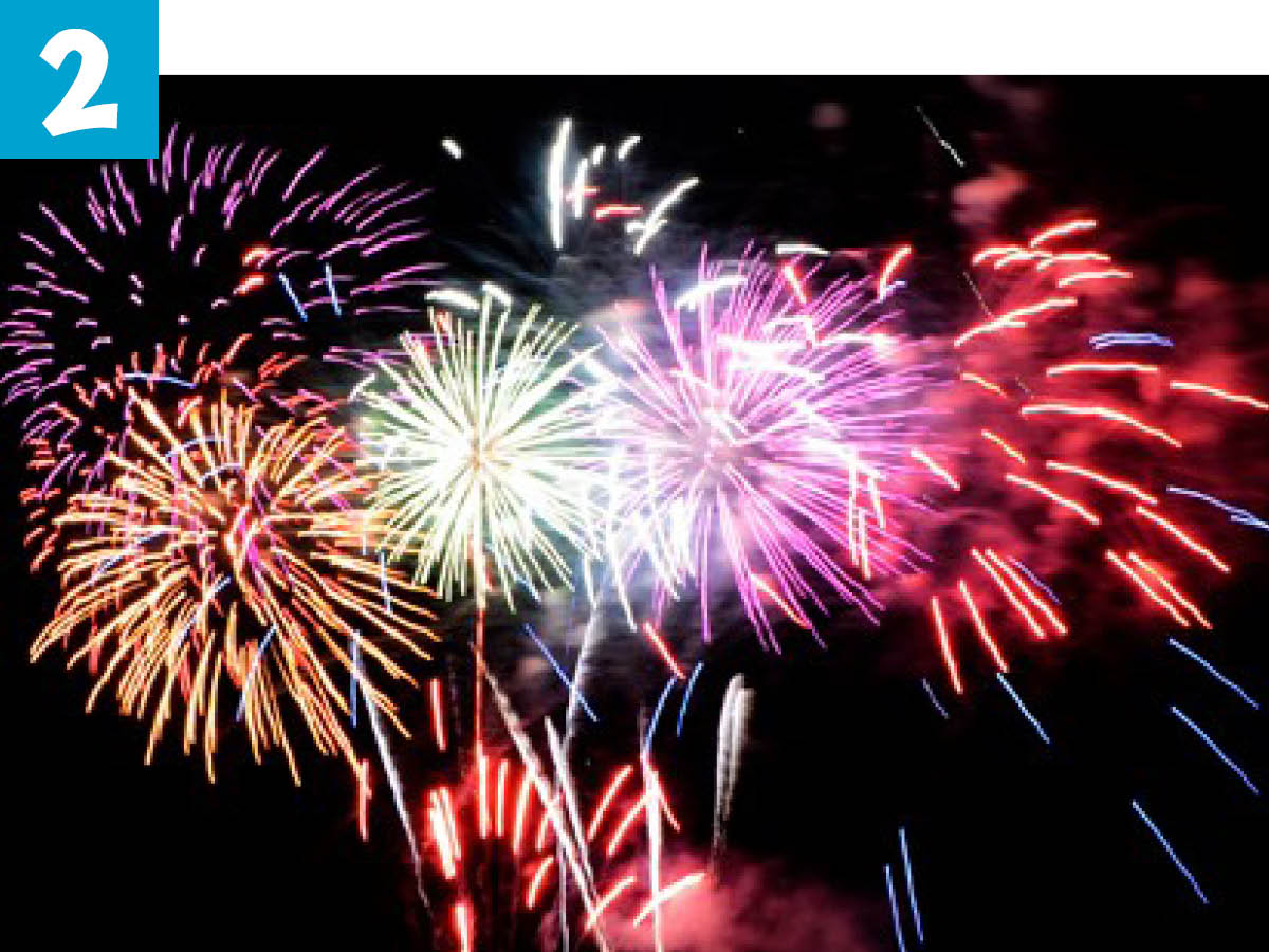 Fireworks in the night sky